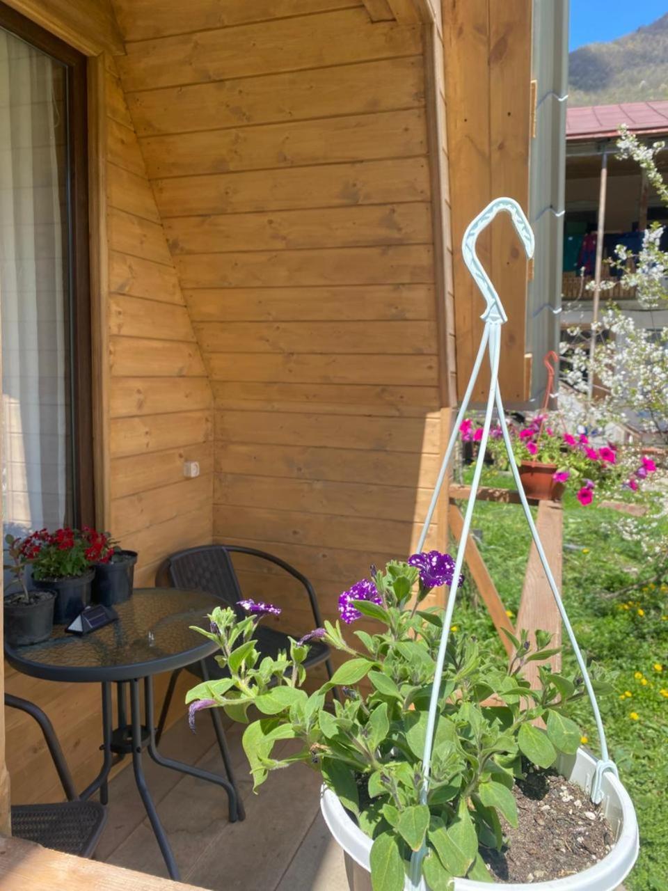 Guesthouse Venera メスティア エクステリア 写真